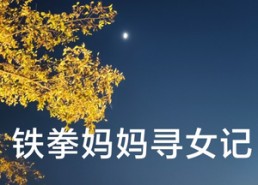 短剧《铁拳妈妈寻女记（69集）》免费短剧全集无删减看