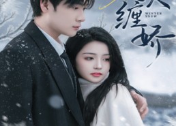 短剧《野火缠娇（66集）》超火短剧在线免费观看