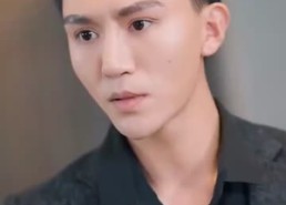 短剧《顾总以死相逼求复婚》短剧全集在线免费追