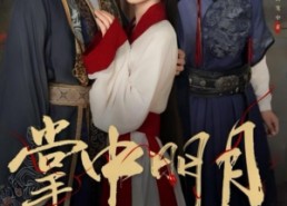 短剧《掌中明月（60集）》短剧免费在线观看全集