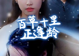 短剧《百草十里正逢龄（40集）》爆款短剧在线免费看全