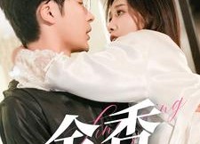 短剧《余香（79集）》超长版短剧全集免费看