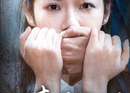 短剧《天网恢恢之迟来的审判（31集）》短剧全集高清免费看