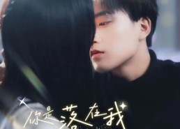 短剧《你是落在我生命里的光（68集）》短剧完整免费在线追剧