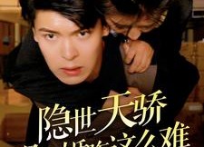 短剧《隐世天骄退个婚咋这么难（61集）》精彩短剧全集免费播放