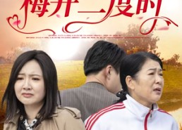 短剧《梅开二度时（55集）》优质短剧全集免费点播