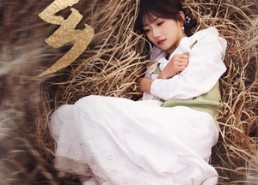 短剧《她乡（35集）孙丛珊》热门短剧无广告在线追