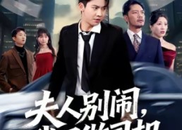 短剧《夫人别闹我只做司机（80集）》短剧在线免费全集追