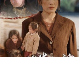 短剧《浴火归途（31集）》优质短剧免费全集直看