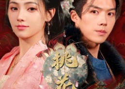 短剧《桃花落（48集）》热门短剧全集免费观赏