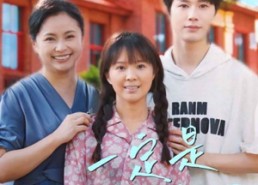 短剧《一定是特别的缘分（37集）》短剧全集免费高清观看