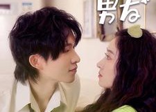 短剧《我的猫系男友（24集）》爆款短剧完整版在线