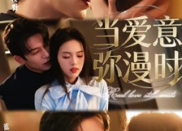 短剧《当爱意弥漫时（80集）》热门短剧在线免费播