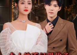 短剧《夫人她不记得你了（81集）》优质短剧全集免费观