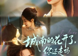 短剧《城南的花开了，你还走吗（84集）》高清短剧在线完整播放