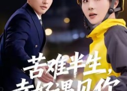 短剧《苦难半生，幸好遇见你（40集）》短剧免费全集流畅播放