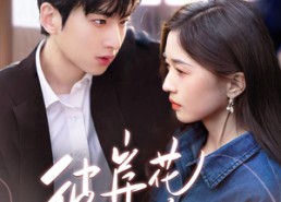 短剧《彼岸花落时（70集）》免费短剧全集速来观