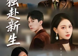 短剧《她独赴新生（64集）》优质短剧免费全集观看