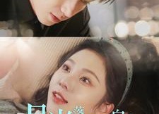 短剧《月光落在我身上（76集）》短剧免费高清全集看