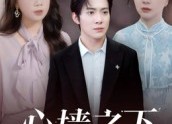 短剧《心墙之下（43集）》免费短剧在线高清享