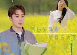 短剧《情谊绵绵终有时（71集）》短剧全集免费在线览