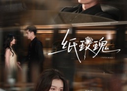 短剧《纸玫瑰（65集）》热门短剧无删减版观看