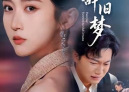 短剧《清欢辞旧梦（54集）》短剧高清全集免费追