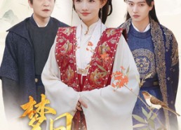 短剧《美人瓮（83集）》高分短剧免费在线赏看