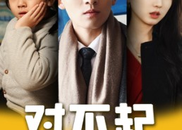 短剧《对不起，哥哥来晚了（38集）》免费短剧全集畅享观看