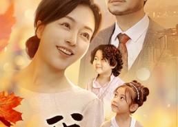 短剧《我在退休后闪婚（55集）》超火短剧免费看全集