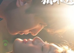 短剧《新贵夫君猜不透（84集）》短剧全集免费流畅在线观