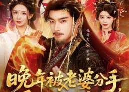 短剧《晚年被老婆分手，系统终于来了（80集）》热门短剧免费在线播