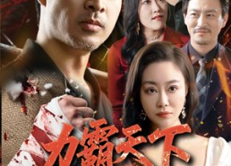 短剧《力霸天下（60集）》超火短剧免费全集速看