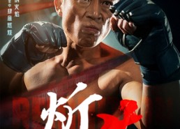 短剧《炘火（62集）》精彩短剧无广告在线看