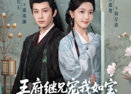 短剧《王府继兄宠我如宝，亲哥却后悔了（75集）》精彩短剧全集速来看