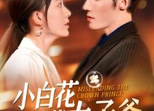 短剧《小白花误惹太子爷（118集）》高能短剧免费畅快看