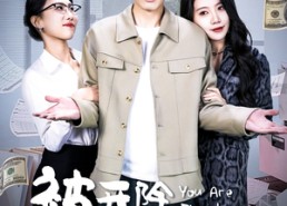 短剧《被开除这件小事（90集）》短剧超全剧集在线赏