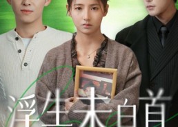 短剧《浮生未白首（50集）》精品短剧免费畅享观看