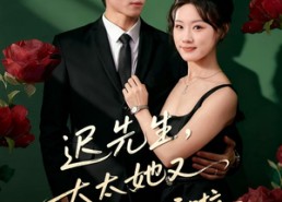 短剧《迟先生，太太她又花式作妖啦（61集）》热门短剧在线畅享观看