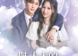 短剧《陆太太的限时婚约（60集）》超火短剧免费全集播放