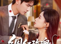 短剧《绸红玫瑰（86集）》免费短剧高清全集观看