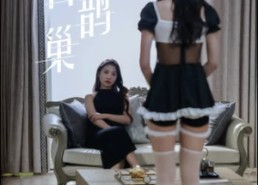 短剧《鸠占鹊巢（61集）》短剧全集高清在线览