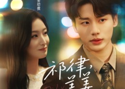 短剧《祁律姜姜喜欢（65集）》短剧热播完整版免费观