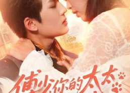 短剧《傅少，你的太太是只猫（64集）》短剧全集高清免费播放