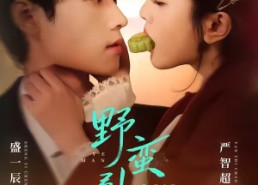 短剧《野蛮引诱（80集）》免费短剧高清全集播放