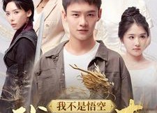 短剧《我不是悟空我是如来（74集）》优质短剧免费在线畅看