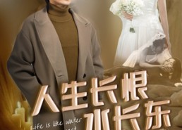 短剧《人生长恨水长东（47集）》爆款短剧全集免费览