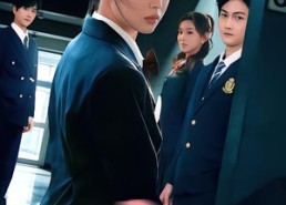 短剧《不见桐花万里路（71集）》精彩短剧全集免费观