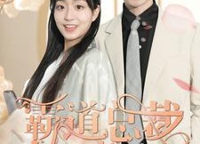 短剧《霸道总裁的刁蛮女友（73集）》免费短剧全集在线追