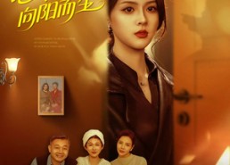 短剧《心冷之后，向阳而生（60集）》短剧高清无删在线观